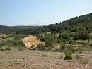 Sommets boiss, pentes en voie de fermeture et fine langue cultive soulignant le fond du vallonnement. Vue vers le Mont Levoux