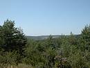 Fermeture du paysage par les boisements, vers le Mont Levoux
