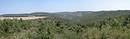 Le paysage bois du causse Mjean vers Saint-Pierre-des-Tripiers