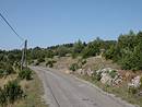 Fermeture du paysage et boisement en cours, vers la Serre de la Garde