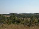 Paysage bois du causse Mjean, bois de Craponnet