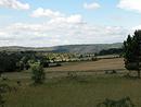 Le causse Bgon, espaces agricoles dominants et structures vgtales d'accompagnement. (Gard)