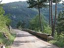La route des gorges du Trvezel. (Gard)