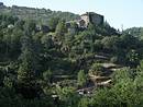 Terrasses en friche  Vebron (valle du Tarnon)