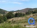  Les pentes nord du Mont Aigoual, aux reliefs complexes, couvertes ici de landes. Vue depuis la RD 19  l'est de Cabrillac