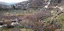  Terrasses et jardins aux abords du village d'Altier