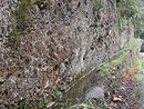 Une rigole d'irrigation (bal) en Valle Franaise