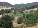 Les vallons doux creuss par le ruisseau de Malzac dans le plateau