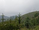 Vue en train de disparatre sous la pousse des cdres