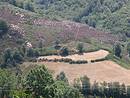 Landes et prairies de fauche sur les bas versants de la Mimente, vers Cassagnas