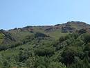 Flanc sud du Bougs, avec les schistes  vif qui percent la toison mauve des landes