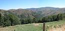 Les pentes pres de la haute valle du Tarn vue depuis Fraissinet de Lozre. A l'horizon le massif du Bougs.