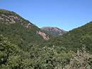 La valle du Tarn entre Cocurs et le Pont-de-Montvert : pentes boises et sommets dgags