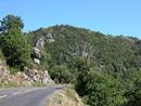 La haute valle du Tarn : des paysages dserts, assez sauvages, boiss, marqus parfois par des rochers : une vocation de la Corse