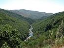 Flancs boiss et horizons lointains dgags : la haute valle du Tarn