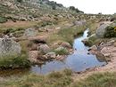 Naissance d'un ruisseau dans les arnes et blocs granitiques du mont Lozre, vers la ferme de Pierre Froide