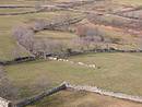 Le bocage de La Garde-Gurin : prcieuses structures paysagres