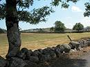 Frnes isols et murets de pierre prs de Recoules d'Aubrac et Saint-Urcize (Cantal)