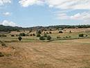 Le bocage form par les arbres isols et les murets de pierre vers Recoules d'Aubrac