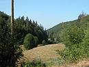 La valle du Coulagnet encaisse et trs boise