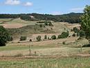 Prairies de fauche concentres sur les pentes les plus favorables  la mcanisation. Les sommets  l'horizon sont laisss  la fort qui conquiert les landes  callune ; les pentes plus raides  gauches sont laisses au gent dont on reconnat les touffes rondes et bleutes. Ici  Froidviala.