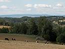 De l'extrieur, l'chine bleute de la Montagne de la Margeride  l'horizon est visible de trs loin et domine toute la Margeride. Ici une vue depuis les environs du Bacon  l'ouest de l'A75.