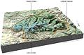 Cliquez pour voir la carte en haute définition