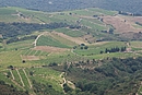 Coteaux viticoles du Fora Real