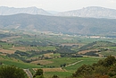 Les coteaux viticoles du Fora Real, avec la plaine de Latour-de-France au fond et les crtes rocheuses du synclinal du Fenouilldes ponctues par le chteau de Quribus  l'horizon
