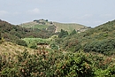 Poches viticoles sur les coteaux au col de la Donna (Calce)