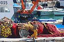 Port-Vendres : filets colors d'un bateau de pche