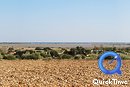 Vue dominante sur l'tang de Canet depuis un lger relief dans la plaine vers Canet-en-Roussillon