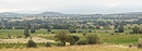 Paysage viticole remarquable vers Bages mlant vignes et structures arbores (oliviers, amandiers)