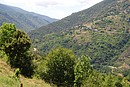 Canaveilles accroch aux versants de la valle et entour de terrasses en friche ; ici vu depuis Souanyas