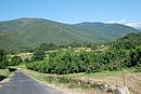 Paysage agricole dans la valle de la Castellane ; ici  Molitg-les-Bains