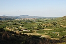 La plaine fruitire du Riberal borde par les reliefs du Fenouilldes ( gauche) et des Aspres ( droite)