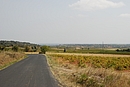 Baixas au milieu des vignes