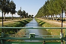 Le canal reliant Saint-Hippolyte  l'tang de Salses-Leucate