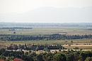 Paysage ouvert de vignes ponctu de vergers entours de haies de cyprs