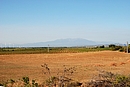 La silhouette du pic du Canigou depuis la plaine de Salses-le-Chteau
