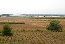 Friches agricoles et zones d'activits autour de Rivesaltes