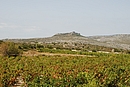 La forteresse de Salveterra sur son plateau naturel