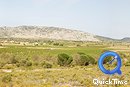  Le site d'Opoul-Prillos dans sa plaine viticole et domin par la forteresse de Salveterra