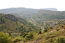 Garrigue et pins d'Alep couvrant les reliefs calcaires des Corbires