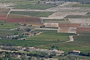 Parcelles de vigne dans la plaine  d'Opoul-Prillos