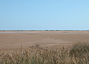 Le désert de sable de l'étang de Pissevaches