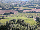 Petites parcelles cultivées entre les pentes sèches des Corbières méditerranéennes