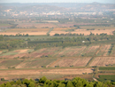 Les plaines basses du Narbonnais furent massivement plantées en vignes dès la fin du XIXe siècle : les ceps de vigne étaient inondés en hiver pour lutter contre le phylloxéra. 
