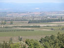 L\'étang asséché de Marseillette produit des pommes, du riz et du vin : une diversité rare dans la plaine de l'Aude.