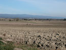 Les champs labourés du Lauragais.